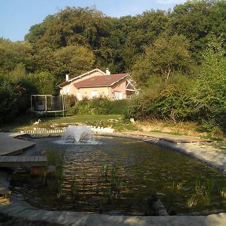 Bed and Breakfast Le Jardin Ombrage Saint-Paul-d'Izeaux Екстер'єр фото