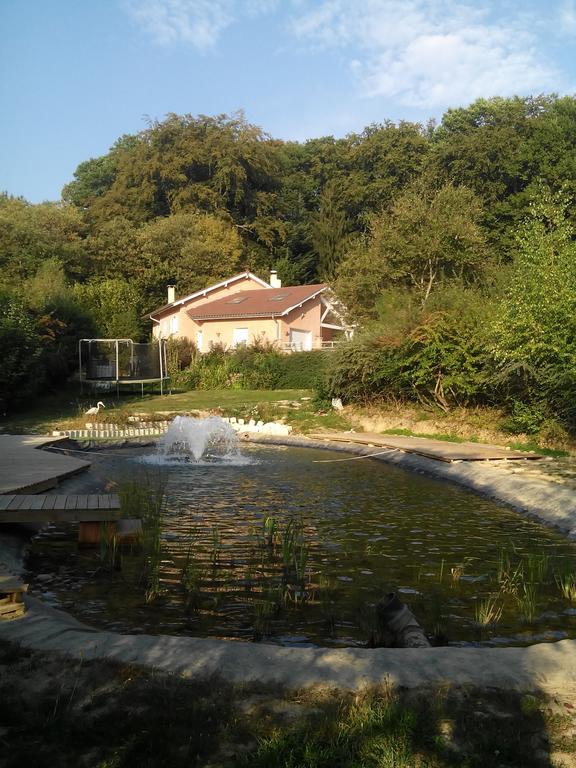 Bed and Breakfast Le Jardin Ombrage Saint-Paul-d'Izeaux Екстер'єр фото